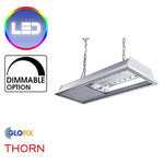 High Bay - Thorn Hipak PRO IP66 LED High Bay - Rack Optic