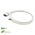 Leads - Vitesse Dual Sensor Lead